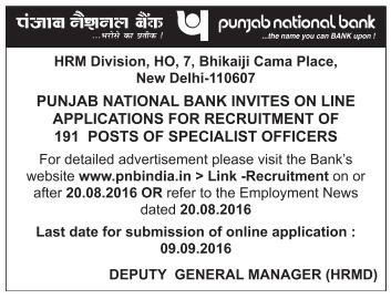 Punjab national bank company secretary job